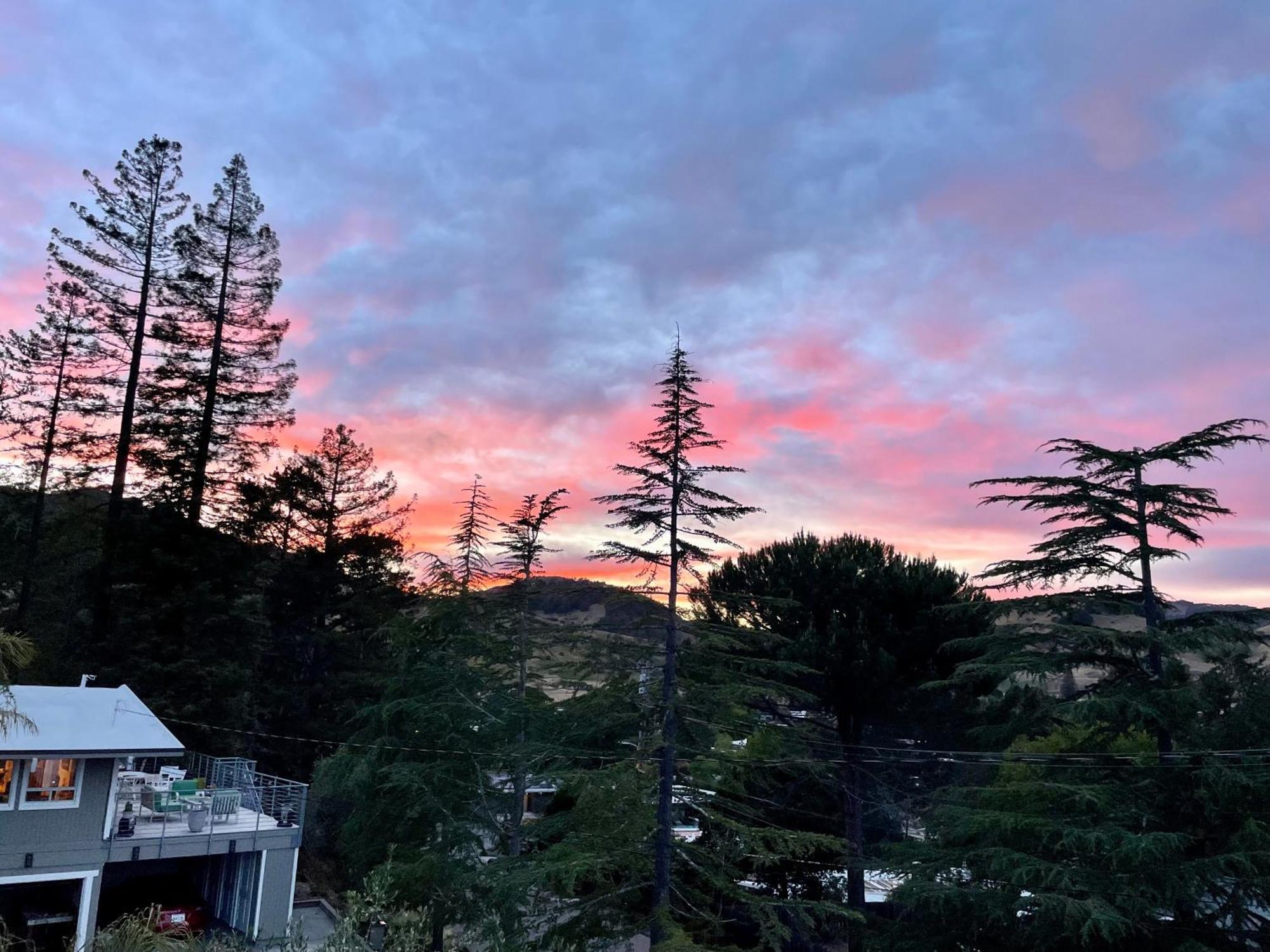 Luxury Suite With Views - San Rafael, Gateway To Sf & Wine Country Luaran gambar