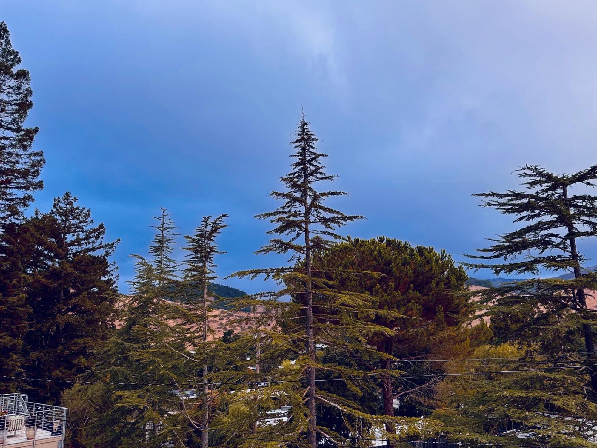 Luxury Suite With Views - San Rafael, Gateway To Sf & Wine Country Luaran gambar